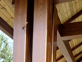 Wood Coating Project